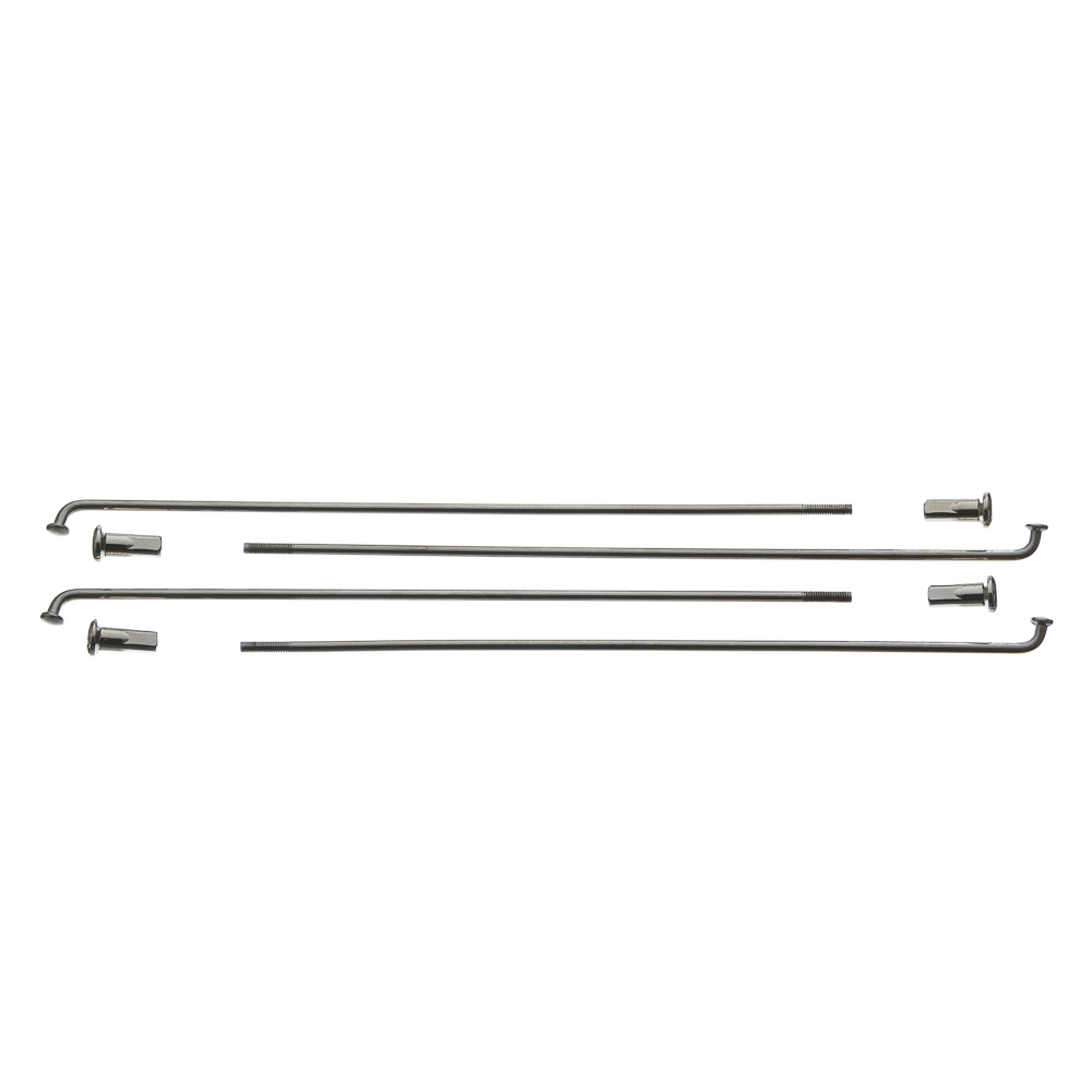 Raio Zincado GP7 (D) BIZ 100