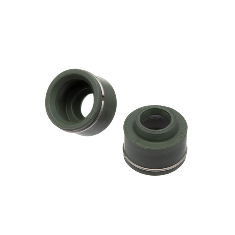 Retentor Válvula (PAR) MOTOPORT CG 125 /01 (Verde)