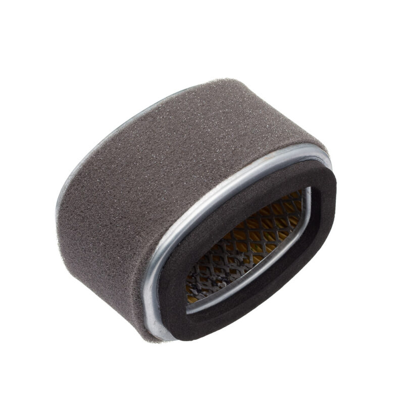 Elemento Filtro de AR Fram Burgman 125 INJ. 11/ (CA12189)