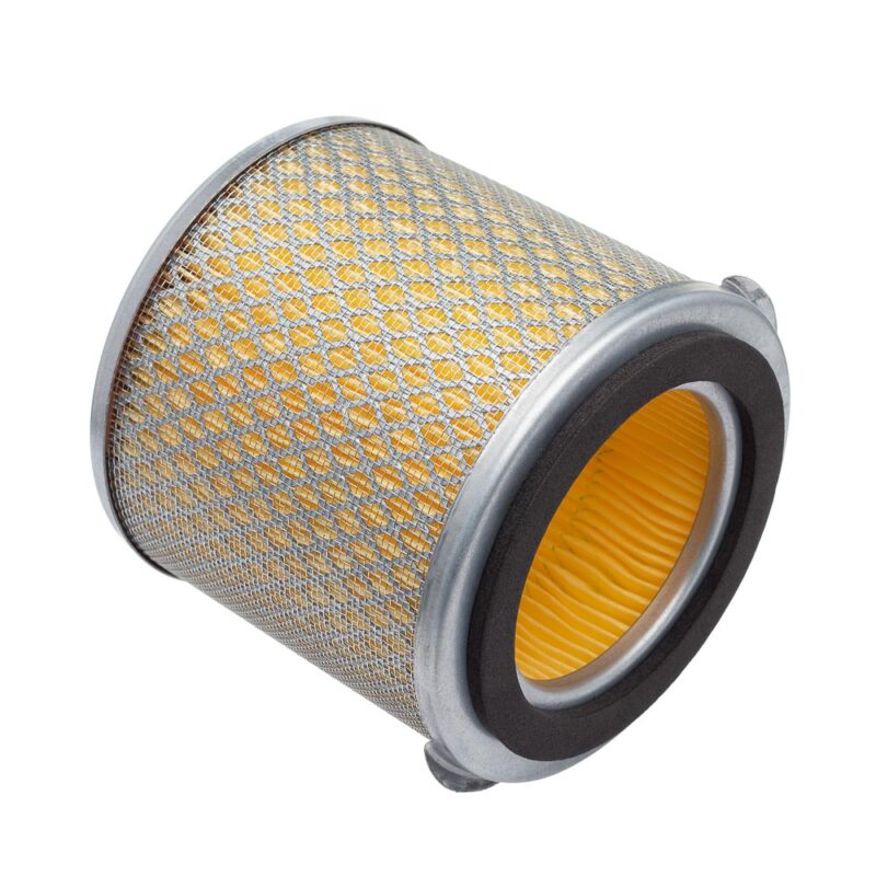 Elemento Filtro de AR Fram XRE 300 (CA12199)