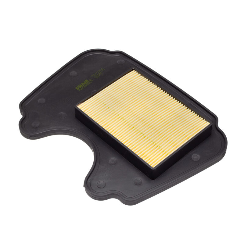 Elemento Filtro de AR Fram BIZ 100 12 A 14 (CA12206)