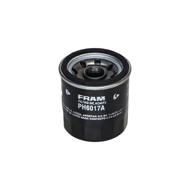 Filtro de Óleo Fram CB 600 HORNET (PH6017A)