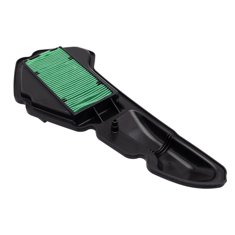 Elemento Filtro de AR EKSIM PCX 150 19/