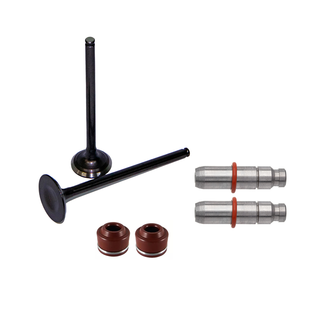 Válvula Guia e Retentor KIT (6PCS) WW3 CB 250F TWISTER 16/22