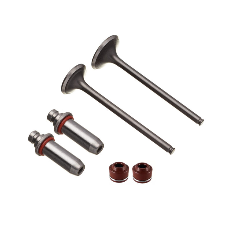 Válvula Guia e Retentor KIT (6PCS) WW3 CBX 250 01/08 CB 300R