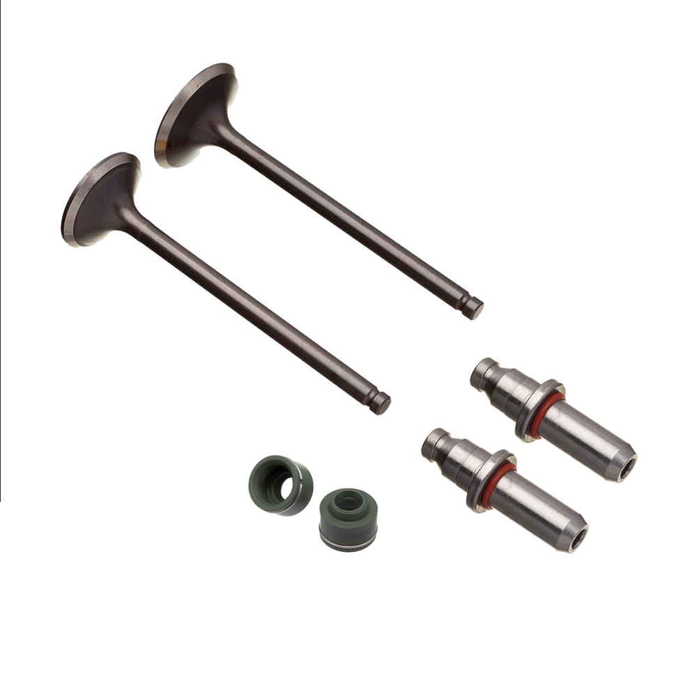 Válvula Guia e Retentor KIT (6PCS) WW3 CBX 200