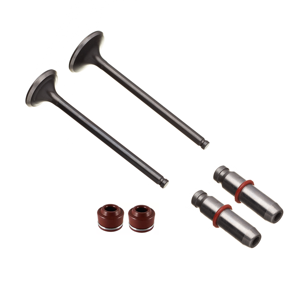 Válvula Guia e Retentor KIT (6PCS) WW3 CG 125 2009/