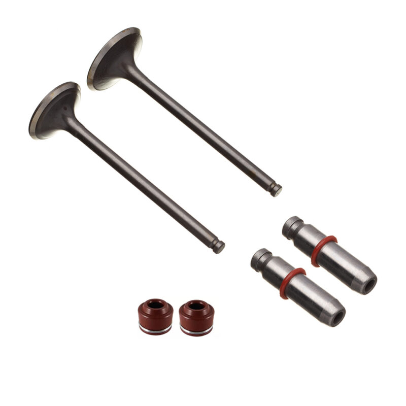 Válvula Guia e Retentor KIT (6PCS) WW3 CG 150 04/15