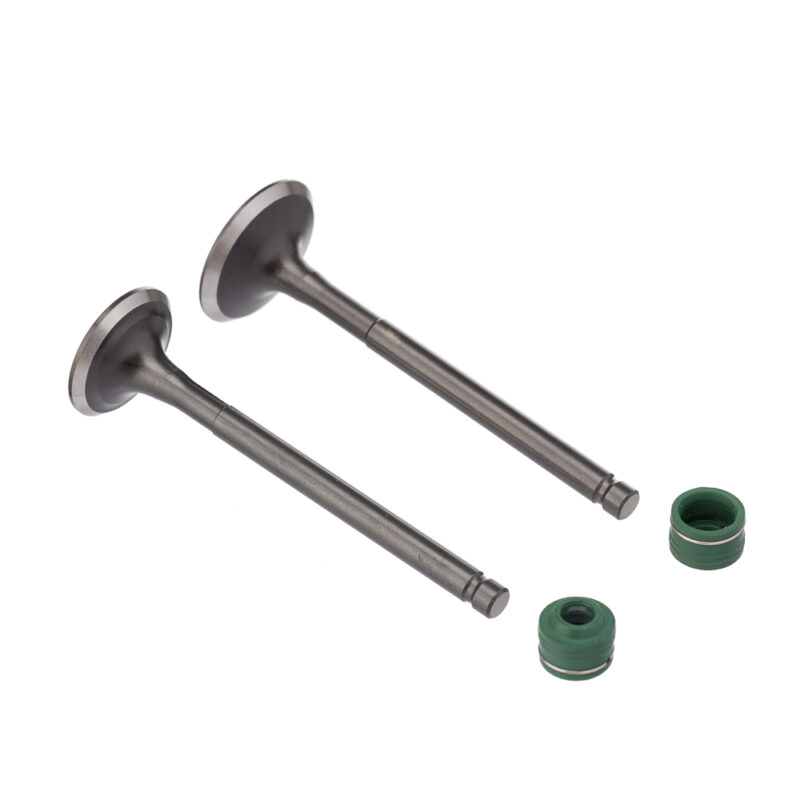 Válvula e Retentor KIT (4PCS) WW3 BIZ 125 05/24