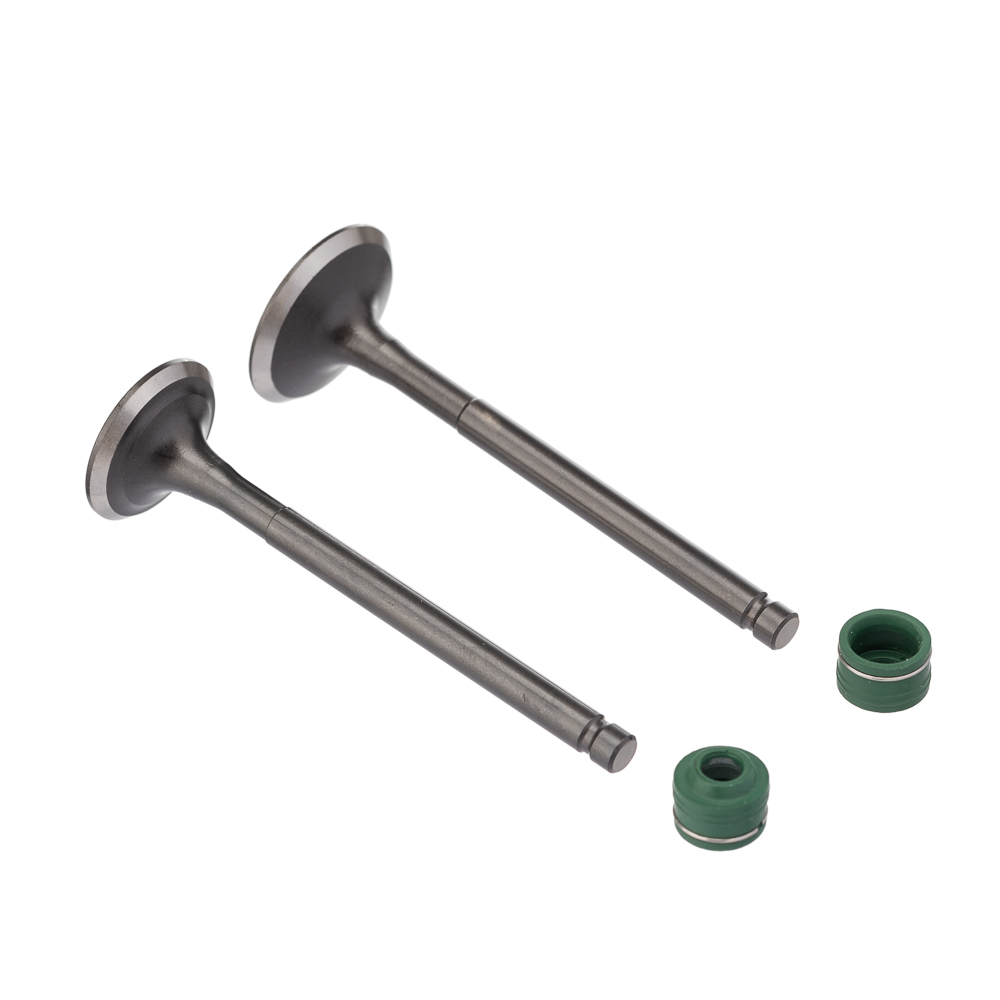 Válvula e Retentor KIT (4PCS) WW3 BIZ 125 05/24