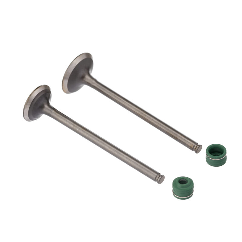 Válvula e Retentor KIT (4PCS) WW3 CB 250F TWISTER 16/22