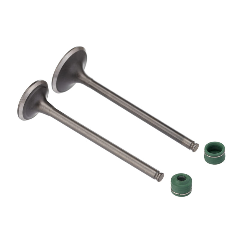Válvula e Retentor KIT (4PCS) WW3 CBX 250 - CB 300R