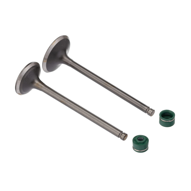 Válvula e Retentor KIT (4PCS) WW3 CBX 200 94/02