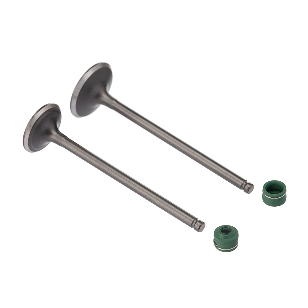 Válvula e Retentor KIT (4PCS) WW3 CG 125 02/08