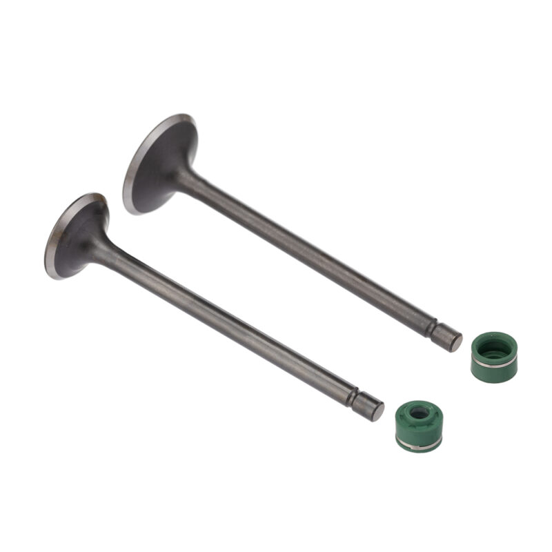 Válvula e Retentor KIT (4PCS) WW3 CG 125 76/91