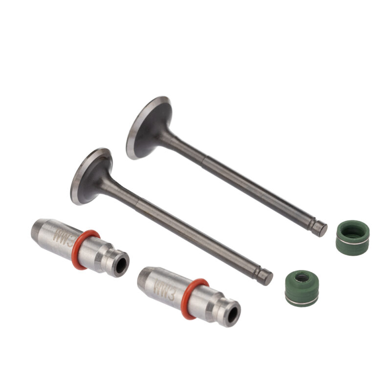 Válvula Guia e Retentor KIT (6PCS) WW3 BIZ 125 05/24 (Verde)