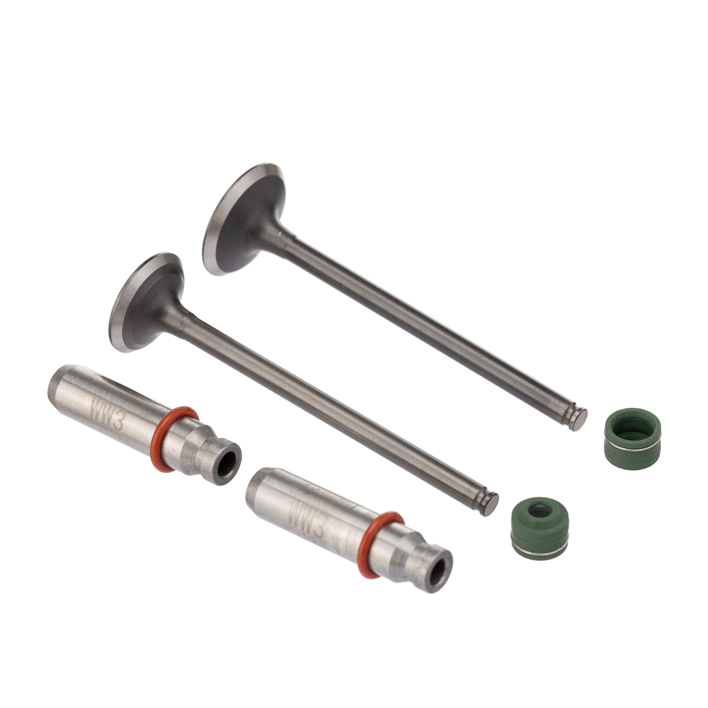 Válvula Guia e Retentor KIT (6PCS) WW3 CB 250 16/22 Reten. Verde