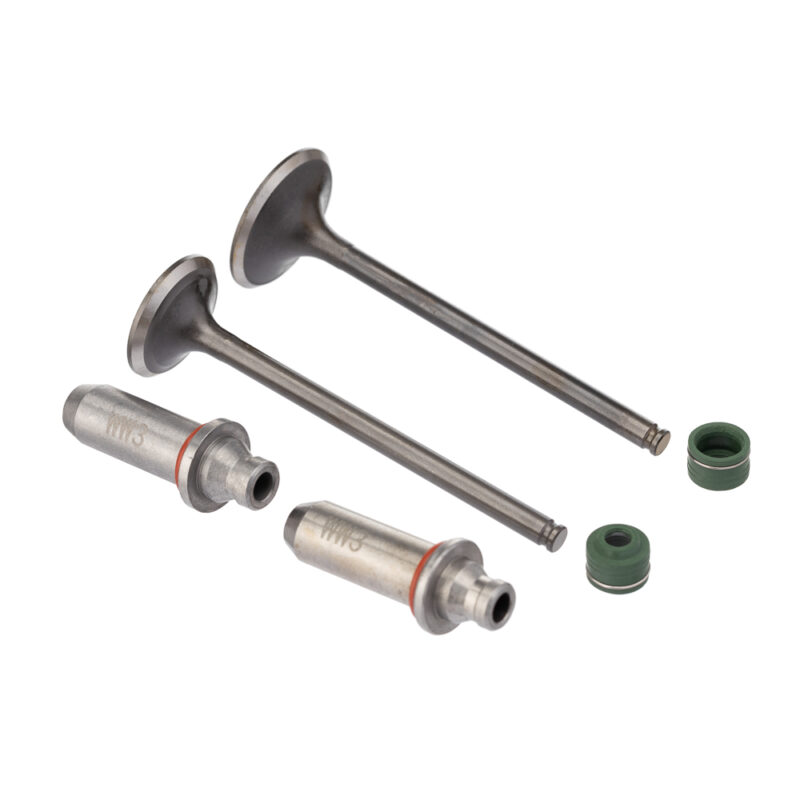 Válvula Guia e Retentor KIT (6PCS) WW3 CBX 250 01/08 Reten. Verde