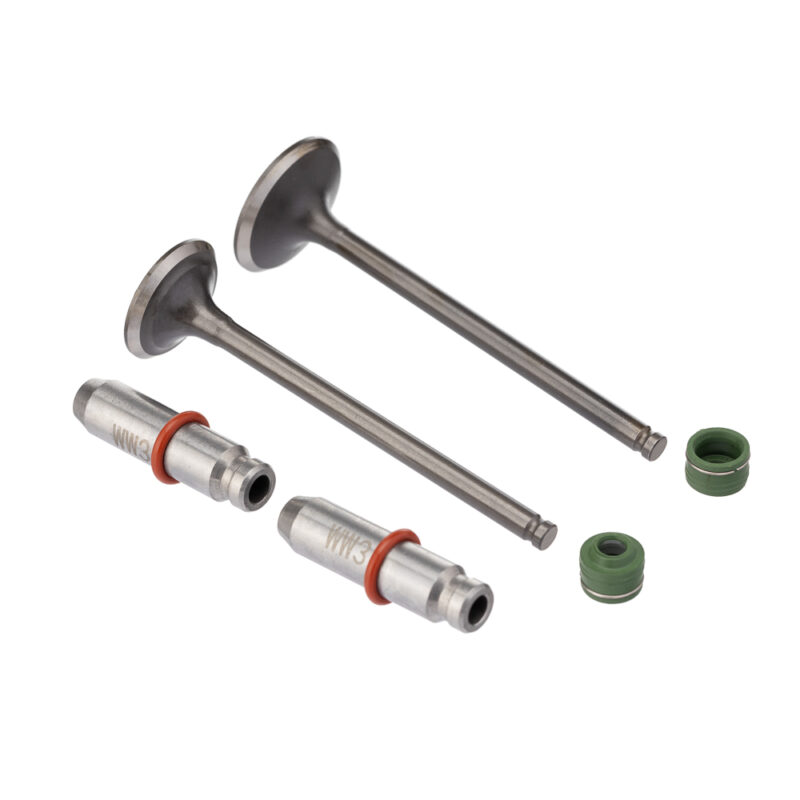 Válvula Guia e Retentor KIT (6PCS) WW3 CG 125 09/18 Reten. Verde