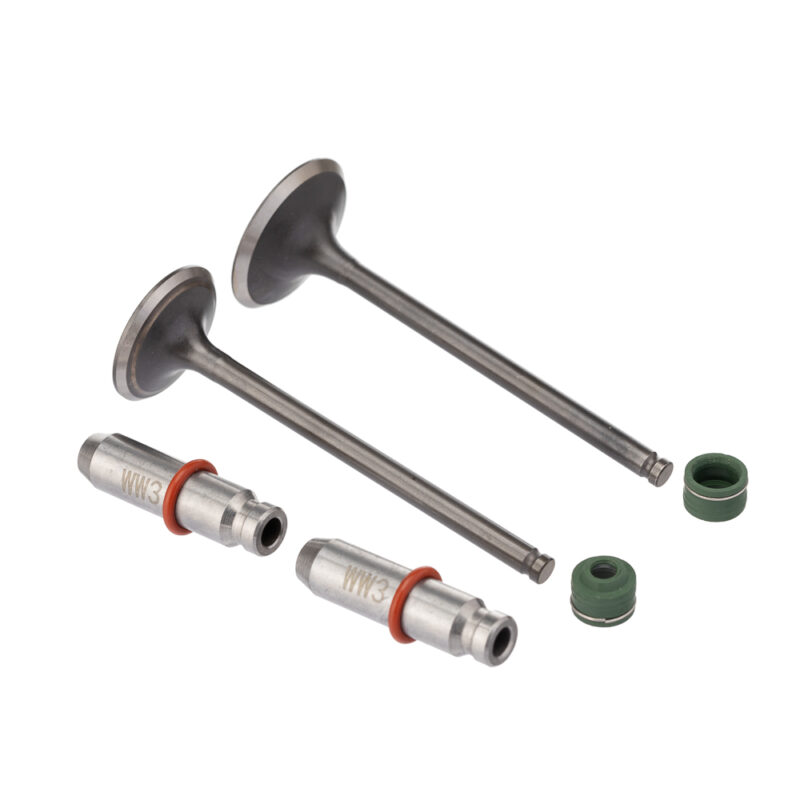 Válvula Guia e Retentor KIT (6PCS) WW3 CG 150 04/15 Reten. Verde