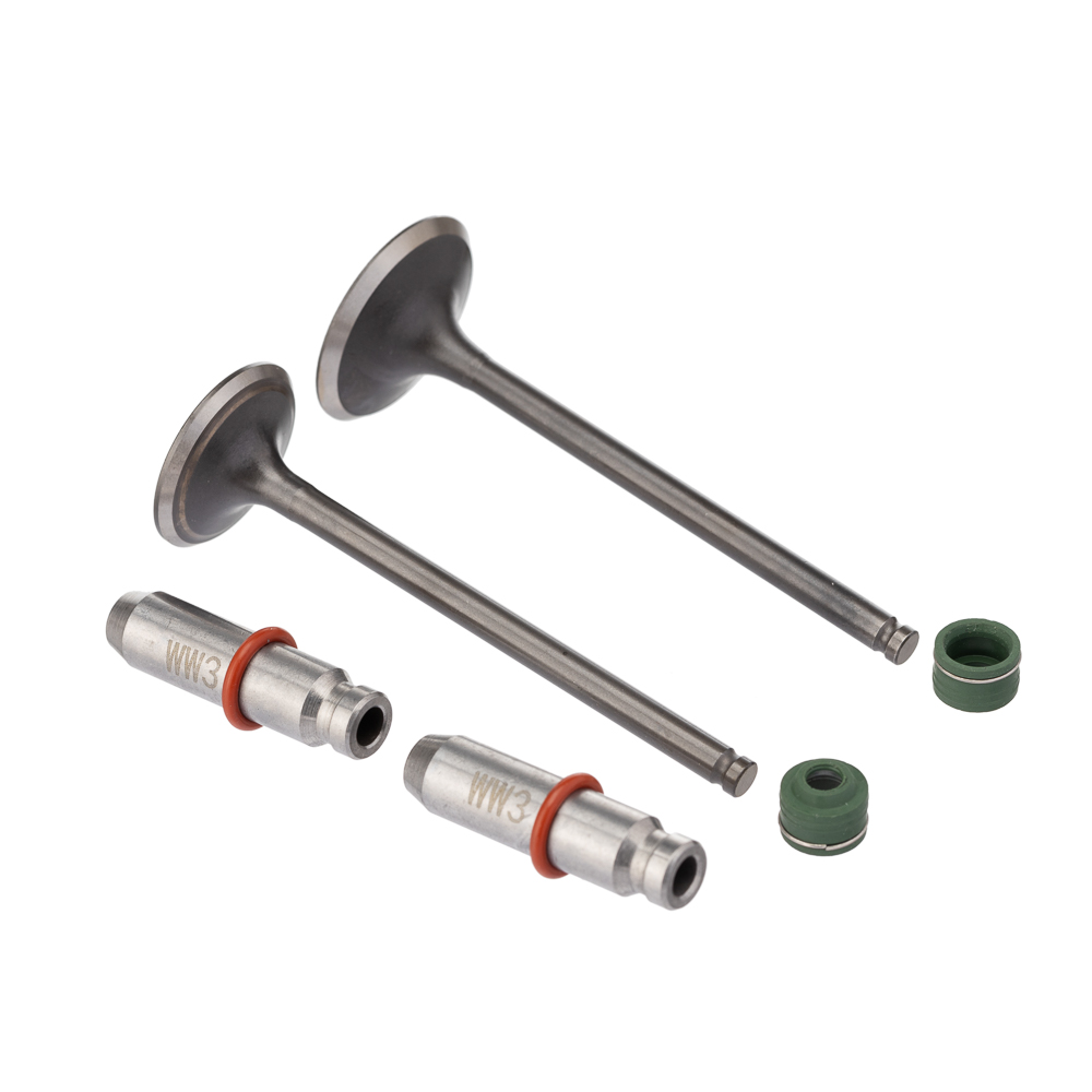 Válvula Guia e Retentor KIT (6PCS) WW3 CG 150 04/15 Reten. Verde