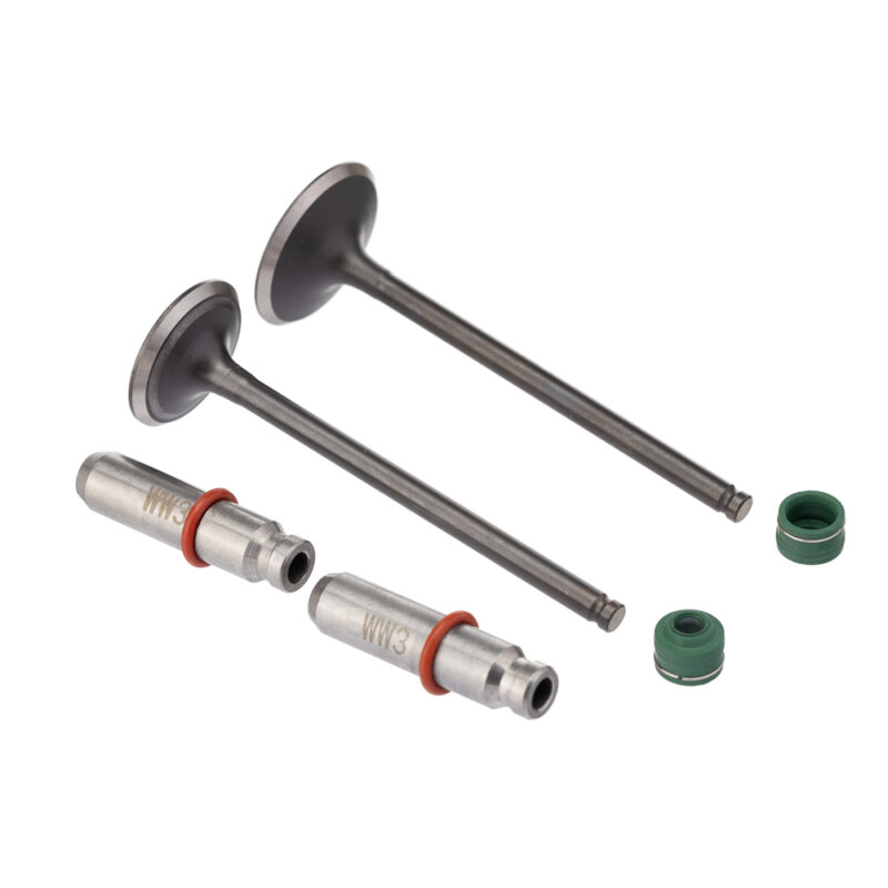 Válvula Guia e Retentor KIT (6PCS) WW3 CG 160 16/ Reten. Verde
