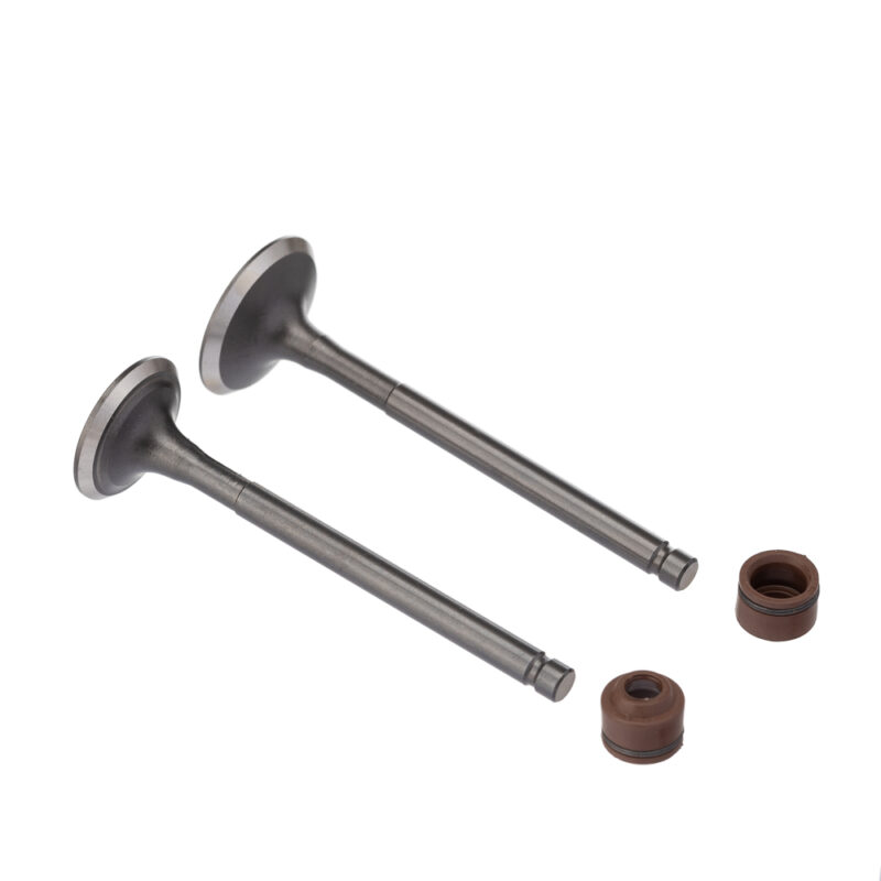 Válvula e Retentor KIT (4PCS) WW3 BIZ 125 05/24 (Marrom)