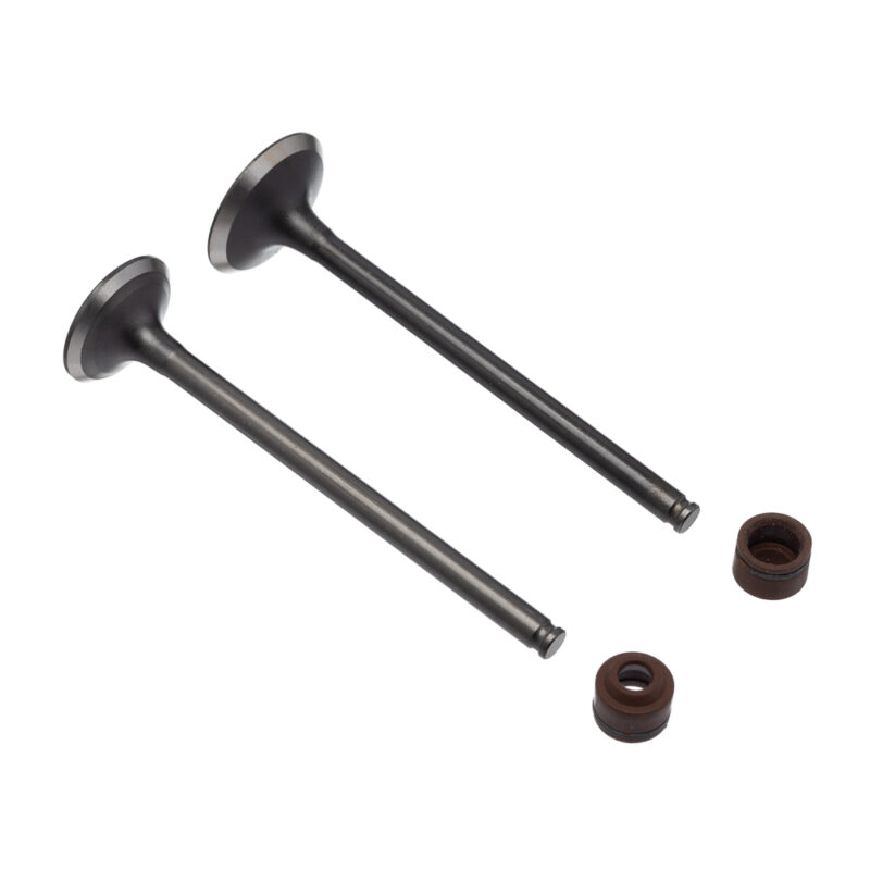 Válvula e Retentor KIT (4PCS) WW3 CB 250 16/22 Ret. Marrom