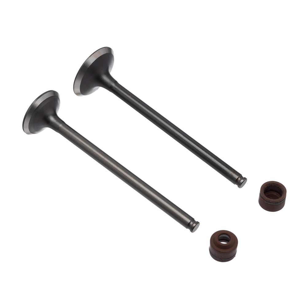 Válvula e Retentor KIT (4PCS) WW3 CB 250 16/22 Ret. Marrom