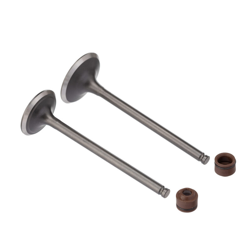 Válvula e Retentor KIT (4PCS) WW3 CG 150 04/ Ret. Marrom