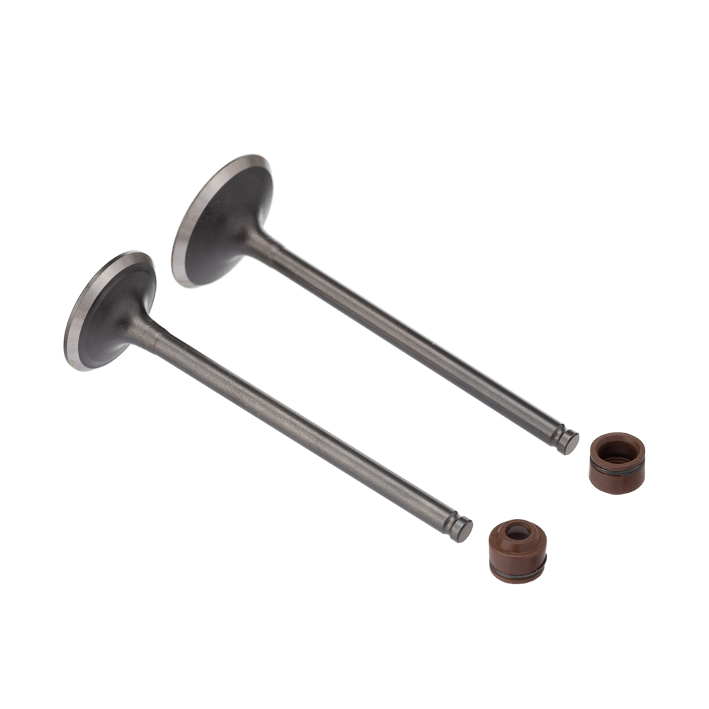 Válvula e Retentor KIT (4PCS) WW3 CG 160 16/ Ret. Marrom