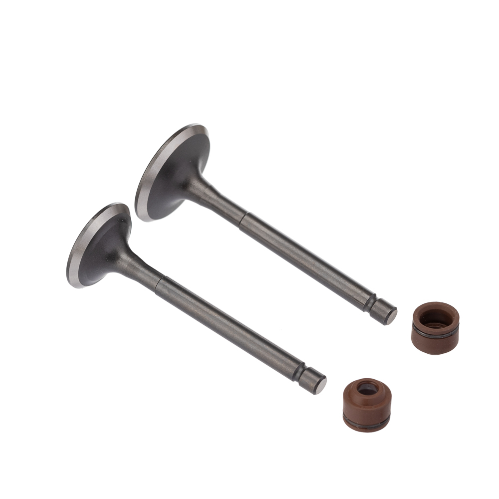 Válvula e Retentor KIT (4PCS) WW3 YBR 125 00/ Ret. Marrom