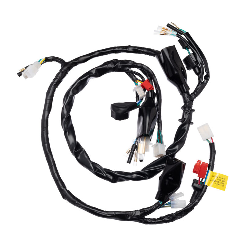 Fiação Principal (Chicote) CONDOR XLR 125 ES 01/02