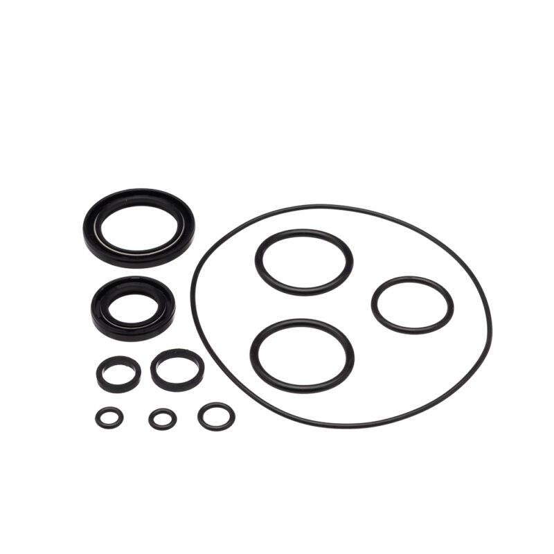 Retentor Virabr. ESQ. Magneto MOTOPORT (KIT C/10 PC) BIZ 100