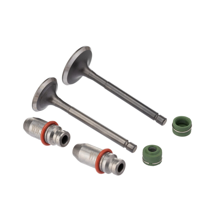 Válvula Guia e Retentor KIT (6PCS) WW3 YBR 125 00/ Reten. Verde
