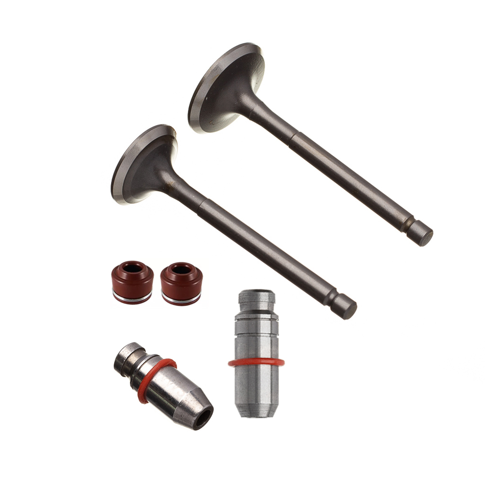 Válvula Guia e Retentor KIT (6PCS) WW3 YBR 125 00/16 XTZ 125