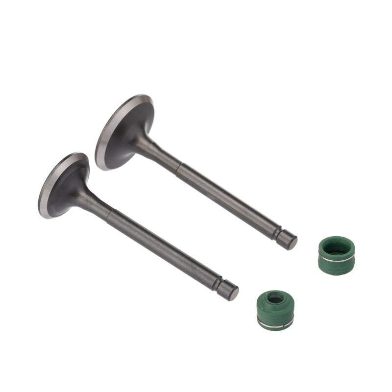 Válvula e Retentor KIT (4PCS) WW3 YBR 125 00/ - XTZ 125 03/