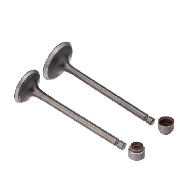 Válvula e Retentor KIT (4PCS) WW3 FAZER 250 07/ - Lander 250