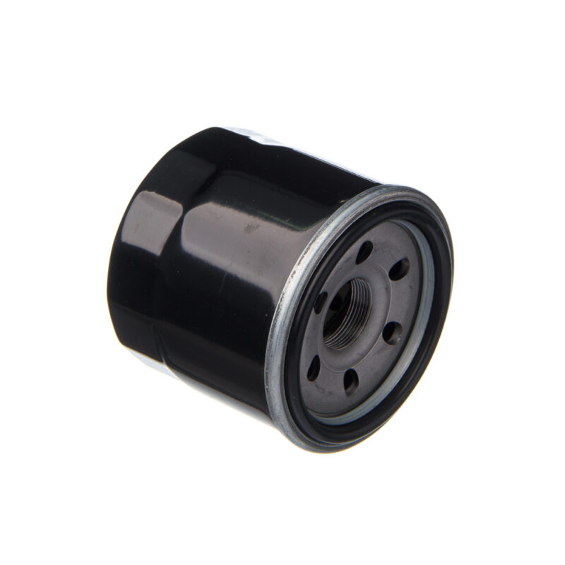 Filtro de Óleo Eis Suz-Bandit 650S 09-10 Bandit N1200 04-06