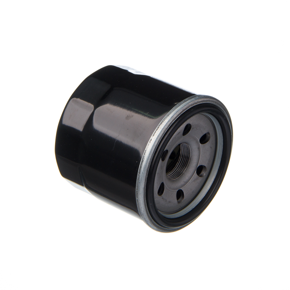 Filtro de Óleo Eis Suz-Bandit 650S 09-10 Bandit N1200 04-06