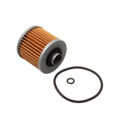 Filtro de Óleo Eis Yam-XT660R 04-10 XT660Z 08-10 XT660X