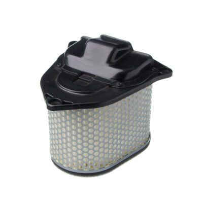 Elemento Filtro de AR Eis Suz-Boulevard C1500 05-09