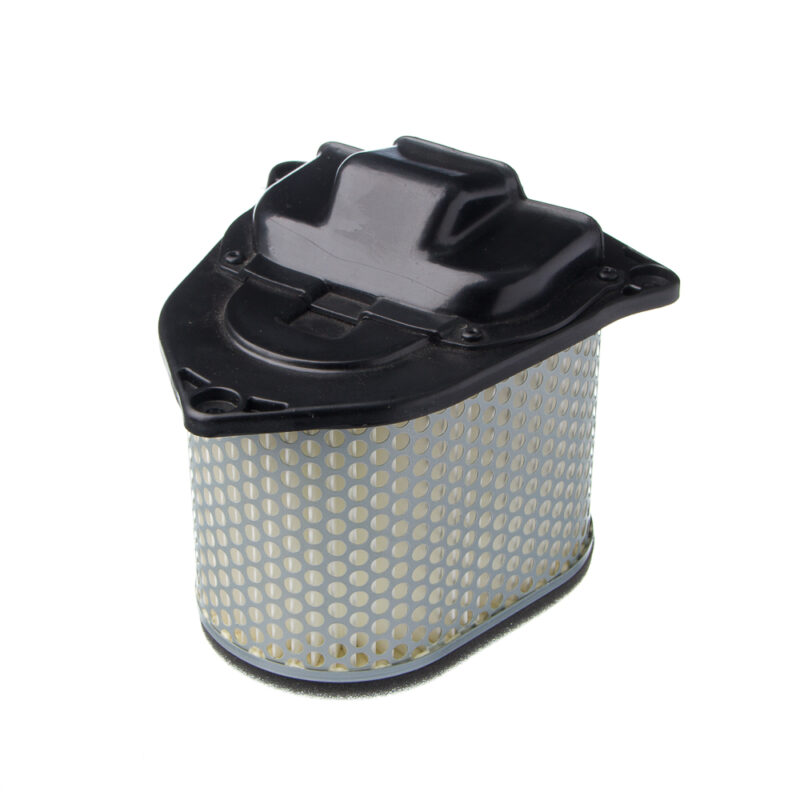 Elemento Filtro de AR Eis Suz-Boulevard C1500 05-09